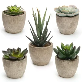 Coitak Artificial Succulent Plants Potted, Assorted Decorative Faux Succulent Potted Fake Cactus Cacti Plants with Pots, Set of 5 Coitak Artificial Succulent Plants Potted, Assorted Decorative Faux Succulent Potted Fake Cactus Cacti Plants with Pots, Set of 5