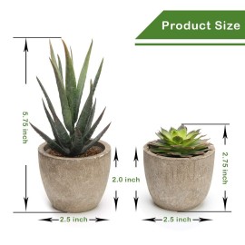 Coitak Artificial Succulent Plants Potted, Assorted Decorative Faux Succulent Potted Fake Cactus Cacti Plants with Pots, Set of 5 Coitak Artificial Succulent Plants Potted, Assorted Decorative Faux Succulent Potted Fake Cactus Cacti Plants with Pots, Set of 5