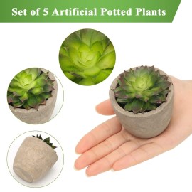 Coitak Artificial Succulent Plants Potted, Assorted Decorative Faux Succulent Potted Fake Cactus Cacti Plants with Pots, Set of 5 Coitak Artificial Succulent Plants Potted, Assorted Decorative Faux Succulent Potted Fake Cactus Cacti Plants with Pots, Set of 5