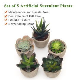 Coitak Artificial Succulent Plants Potted, Assorted Decorative Faux Succulent Potted Fake Cactus Cacti Plants with Pots, Set of 5 Coitak Artificial Succulent Plants Potted, Assorted Decorative Faux Succulent Potted Fake Cactus Cacti Plants with Pots, Set of 5