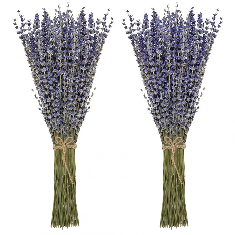 Timoo Dried Lavender Bundles 100 Natural Dried Lavender Flowers for Home Decoration, Photo Props, Home Fragrance, 2 Bundles Pack Timoo Dried Lavender Bundles 100 Natural Dried Lavender Flowers for Home Decoration, Photo Props, Home Fragrance, 2 Bundles Pack
