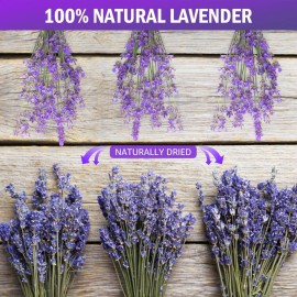 Timoo Dried Lavender Bundles 100 Natural Dried Lavender Flowers for Home Decoration, Photo Props, Home Fragrance, 2 Bundles Pack Timoo Dried Lavender Bundles 100 Natural Dried Lavender Flowers for Home Decoration, Photo Props, Home Fragrance, 2 Bundles Pack