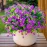 Artificial Flowers for Outdoors UV Resistant - 12 PCS Bundles Faux Fake Outdoor Plants Plastic Flowers Bushes Shrubs No Fade Artificial Greenery Home Porch Stems Outside Window Box Decor(Magenta)