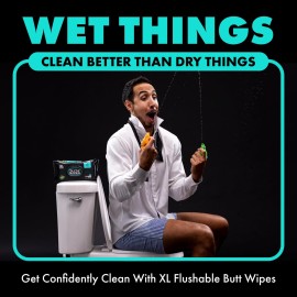 DUDE Wipes - Flushable Wipes - 3 Pack, 144 Wipes - Mint Chill Extra-Large Adult Wet Wipes - Vitamin-E, Aloe, Eucalyptus & Tea Tree Oils - Septic and Sewer Safe