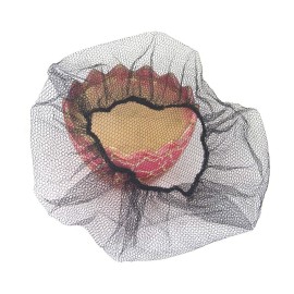 QIAN SOU Disposable Hair Nets Food Service Nylon Caps Breathable Honeycomb 24 (100) QIAN SOU Disposable Hair Nets Food Service Nylon Caps Breathable Honeycomb 24 (100)