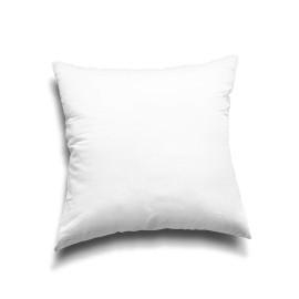 EDOW Throw Pillow Inserts, Set of 2 Lightweight Down Alternative Polyester Pillow, Couch Cushion, Sham Stuffer, Machine Washable. (White, 18x18) EDOW Throw Pillow Inserts, Set of 2 Lightweight Down Alternative Polyester Pillow, Couch Cushion, Sham Stuffer, Machine Washable. (White, 18x18)