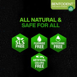 BENTODENT Teeth Whitening Bentonite Clay & Charcoal Toothpaste - Natural Teeth Whitening Charcoal toothpaste, No SLS & Fluoride free Charcoal toothpaste, Vegan (Activated Charcoal Mint Combo)