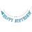 Shark Happy Birthday Banner and Shark Garlands, Ocean Beach Under The Sea Theme Party, Shark Party Supplies (Blue)