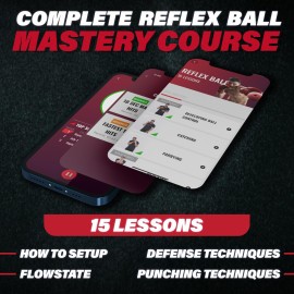 Boxing Reflex Ball Set with Punch Counter App- 4 Boxing Balls with Varying Weights, Headband and 4 Spare Strings to Improve Speed, Hand-Eye Coordination for Men, Kids Boxing Equipment MMA Gear Gift Boxing Reflex Ball Set with Punch Counter App- 4 Boxing Balls with Varying Weights, Headband and 4 Spare Strings to Improve Speed, Hand-Eye Coordination for Men, Kids Boxing Equipment MMA Gear Gift