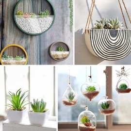 HappyHapi 12 Pcs Artificial Succulents Mini Fake Plants Unpotted Faux Succulent for Craft, Small Plastic Succulents Assortment in Flocked Green Floral Decor for Party, Cake, Garden & Outdoor HappyHapi 12 Pcs Artificial Succulents Mini Fake Plants Unpotted Faux Succulent for Craft, Small Plastic Succulents Assortment in Flocked Green Floral Decor for Party, Cake, Garden & Outdoor