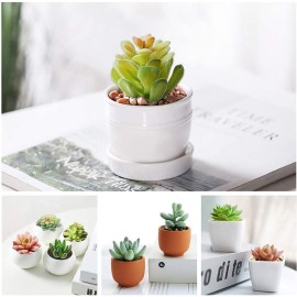 HappyHapi 12 Pcs Artificial Succulents Mini Fake Plants Unpotted Faux Succulent for Craft, Small Plastic Succulents Assortment in Flocked Green Floral Decor for Party, Cake, Garden & Outdoor HappyHapi 12 Pcs Artificial Succulents Mini Fake Plants Unpotted Faux Succulent for Craft, Small Plastic Succulents Assortment in Flocked Green Floral Decor for Party, Cake, Garden & Outdoor