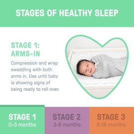 SwaddleMe by Ingenuity Compression Baby Swaddle Pod, Two-Way Zipper for Easy Diaper Changes, Improves Sleep & Calms Startle Reflex, 0-2 Months, 1.0 TOG, 2-Pack - Dino Jam SwaddleMe by Ingenuity Compression Baby Swaddle Pod, Two-Way Zipper for Easy Diaper Changes, Improves Sleep & Calms Startle Reflex, 0-2 Months, 1.0 TOG, 2-Pack - Dino Jam