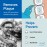TePe Pack of 8 Interdental Brush Original, Soft Dental Brush for Teeth Cleaning, Mixed Pack