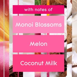 Glade PlugIns Refills Air Freshener, Scented and Essential Oils for Home and Bathroom, Exotic Tropical Blossoms, 3.35 Fl Oz, 5 Count Glade PlugIns Refills Air Freshener, Scented and Essential Oils for Home and Bathroom, Exotic Tropical Blossoms, 3.35 Fl Oz, 5 Count