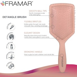 FRAMAR Paddle Hair Brush For Women - Wet Paddle Brush For Thick Hair, Wet Hair Brushes For Women, Hair Brush Detangler - Reduces Breakage - Champagne FRAMAR Paddle Hair Brush For Women - Wet Paddle Brush For Thick Hair, Wet Hair Brushes For Women, Hair Brush Detangler - Reduces Breakage - Champagne