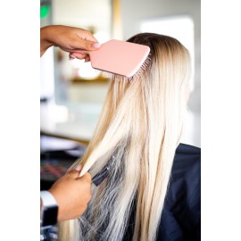 FRAMAR Paddle Hair Brush For Women - Wet Paddle Brush For Thick Hair, Wet Hair Brushes For Women, Hair Brush Detangler - Reduces Breakage - Champagne FRAMAR Paddle Hair Brush For Women - Wet Paddle Brush For Thick Hair, Wet Hair Brushes For Women, Hair Brush Detangler - Reduces Breakage - Champagne