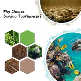Virgin Forest 10 Count Bamboo Toothbrush, Soft Bristle for Adults, Eco Friendly Natural Wooden Toothbrushes, Vegan Organic Bamboo Travel Tooth Brush (10 Colors) Virgin Forest 10 Count Bamboo Toothbrush, Soft Bristle for Adults, Eco Friendly Natural Wooden Toothbrushes, Vegan Organic Bamboo Travel Tooth Brush (10 Colors)