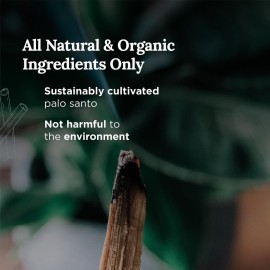 Magnificent 101 Long Lasting Palo Santo Smudge Candle - 6 Oz - 35 Hour Burn Time | Essential Oils, 100% Natural Ingredients | Smoke Free, Petroleum Free Candle to Cleanse Your Home Magnificent 101 Long Lasting Palo Santo Smudge Candle - 6 Oz - 35 Hour Burn Time | Essential Oils, 100% Natural Ingredients | Smoke Free, Petroleum Free Candle to Cleanse Your Home
