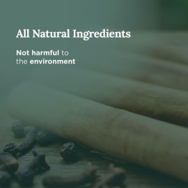 Magnificent 101 Money Financial Freedom Aromatherapy Candle ? Clove, Cinnamon, Citronella Scented Natural Soybean Wax Tin Candle for Purification and Chakra Healing Magnificent 101 Money Financial Freedom Aromatherapy Candle ? Clove, Cinnamon, Citronella Scented Natural Soybean Wax Tin Candle for Purification and Chakra Healing