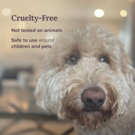 Magnificent 101 Money Financial Freedom Aromatherapy Candle ? Clove, Cinnamon, Citronella Scented Natural Soybean Wax Tin Candle for Purification and Chakra Healing Magnificent 101 Money Financial Freedom Aromatherapy Candle ? Clove, Cinnamon, Citronella Scented Natural Soybean Wax Tin Candle for Purification and Chakra Healing