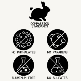 Pacifica Beauty Big Waves Coconut, Vanilla & Sea Salt Hairspray, Controls Frizz & Adds Volume, Designed for Wavy Hair, Vegan & Cruelty-Free, 6 Fl Oz