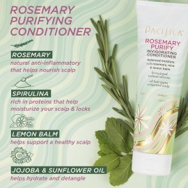 Pacifica Conditioner - Rosemary Purify Invigorating Conditioner with Hydrating Jojoba & Cooling Mint for Balanced Moisture, Sulfate-Free, Vegan & Cruelty-Free, 8 oz Pacifica Conditioner - Rosemary Purify Invigorating Conditioner with Hydrating Jojoba & Cooling Mint for Balanced Moisture, Sulfate-Free, Vegan & Cruelty-Free, 8 oz