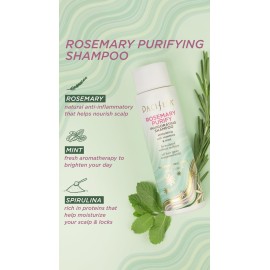 Pacifica Clarifying Shampoo - Rosemary Purify Invigorating Shampoo w/Soothing Mint for Detoxing Hair & Scalp Build-Up, Sulfate & Silicone Free - Vegan & Cruelty-Free Dermatologist Tested Pacifica Clarifying Shampoo - Rosemary Purify Invigorating Shampoo w/Soothing Mint for Detoxing Hair & Scalp Build-Up, Sulfate & Silicone Free - Vegan & Cruelty-Free Dermatologist Tested