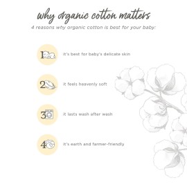 Burt\'s Bees Baby Bibs, 5-Pack Lap-Shoulder Drool Cloths, 100% Organic Cotton with Absorbent Terry Towel Backing (Watercolor Daylily) Burt\'s Bees Baby Bibs, 5-Pack Lap-Shoulder Drool Cloths, 100% Organic Cotton with Absorbent Terry Towel Backing (Watercolor Daylily)