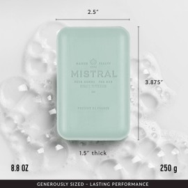 Mistral Salted Gin Luxury Bar Soap for Men | Mens Natural Soap Bar | Paraben, Phthalates Free | Moisturizing & Triple-Milled Natural Soap for Men - Made in France | Large, 8.8 oz