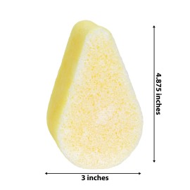 Spongeables Anti Cellulite Body Wash in a 20+ Wash Sponge, Citrus, 3 Count Spongeables Anti Cellulite Body Wash in a 20+ Wash Sponge, Citrus, 3 Count