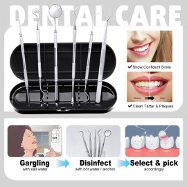 Dental Tools Plaque Remover Teeth Cleaning Tools Kit 6 Pcs Dental Care Kit Stainless Steel Dental Pick Tartar Remover Tool for Home/Travel/Pet Care-Storage Case Included