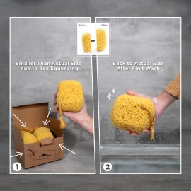 myHomeBody Bath Sponge, Foam Loofah, Body Scrubber for Bathing, Exfoliating Shower Pouf for Shower - Large Size, Lots of Lather, Curvy, 3 Pack