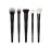 Morphe Face The Beat Makeup Brushes - 5 Piece Makeup Brush Set with Foundation, Blush, Contour & Blending Brushes - Made with Synthetic Bristles & Includes Makeup Brush Case (5 Count)