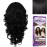 Sensationnel What Lace 13X6 Wigs - Latisha Lacefrontal Hand Tied Glueless Synthetic With Natural Density Preplucked Hairline (Jet Black 1)