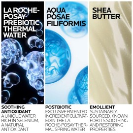 La Roche-Posay Lipikar AP+ Gentle Foaming Moisturizing Wash, Shea Butter + Niacinamide + Glycerin, Moisturizing Body Wash For Dry Skin, National Eczema Association Accepted, Soap Free La Roche-Posay Lipikar AP+ Gentle Foaming Moisturizing Wash, Shea Butter + Niacinamide + Glycerin, Moisturizing Body Wash For Dry Skin, National Eczema Association Accepted, Soap Free