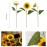 Laelfe Artificial Sunflower Flowers Long Stem Silk Fake Large Sunflowers Decoration for Outdoor Home Wedding Baby Shower Birthday Party Single Bulk Yellow Decor 6PCS (Dark Center)