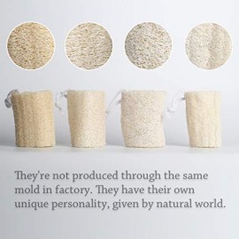 pisdoplop 5 Natural Loofah Exfoliating Body Sponge Scrubber for Skin Care in Bath Spa Shower Pack of 4 pisdoplop 5 Natural Loofah Exfoliating Body Sponge Scrubber for Skin Care in Bath Spa Shower Pack of 4