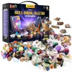 Rock Collection for Kids - Includes 250+ Bulk Rocks, Gemstones & Crystals + Genuine Fossils and Minerals - 2 Lbs. - Geology Science STEM Toys, Gifts for Boys & Girls Ages 6+. Earth Science Activity