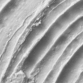 STMNT Grooming Goods Shine Paste, 3.38 oz | Natural Shine Finish | Strong Control | Non-Greasy Formula