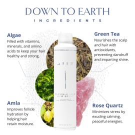 AIIR Flexible Hold Hairspray - Finishing Spray with Light Hold, Soft & Touchable Finish, Enhance Style & Shine, Fight Frizz with Humidity Resistance, Lightweight Hairspray for Fine Thin Hair, 9 oz AIIR Flexible Hold Hairspray - Finishing Spray with Light Hold, Soft & Touchable Finish, Enhance Style & Shine, Fight Frizz with Humidity Resistance, Lightweight Hairspray for Fine Thin Hair, 9 oz