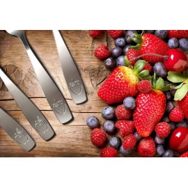 CHILLOUT LIFE Stainless Steel Kids Silverware Set 6 Pieces - Child and Toddler Safe Flatware - Kids Utensil Set - Metal Kids Cutlery Set (Includes 3 Small Kids Spoons & Kids 3 Forks) CHILLOUT LIFE Stainless Steel Kids Silverware Set 6 Pieces - Child and Toddler Safe Flatware - Kids Utensil Set - Metal Kids Cutlery Set (Includes 3 Small Kids Spoons & Kids 3 Forks)