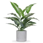 JC nateva 16 Small Fake Plants Artificial Tropical Faux Plants Indoor for Office Desk Shelf Bathroom Home Decor