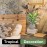 JC nateva 16 Small Fake Plants Artificial Tropical Faux Plants Indoor for Office Desk Shelf Bathroom Home Decor