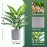 JC nateva 16 Small Fake Plants Artificial Tropical Faux Plants Indoor for Office Desk Shelf Bathroom Home Decor