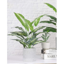 JC nateva 16 Small Fake Plants Artificial Tropical Faux Plants Indoor for Office Desk Shelf Bathroom Home Decor JC nateva 16 Small Fake Plants Artificial Tropical Faux Plants Indoor for Office Desk Shelf Bathroom Home Decor