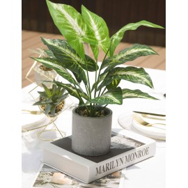 JC nateva 16 Small Fake Plants Artificial Tropical Faux Plants Indoor for Office Desk Shelf Bathroom Home Decor JC nateva 16 Small Fake Plants Artificial Tropical Faux Plants Indoor for Office Desk Shelf Bathroom Home Decor