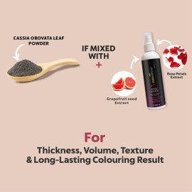Mina ibrow Tint kit Ash Blond