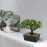 Artificial Bonsai Tree Juniper Faux Plants Indoor Small Fake Plants Decor with Ceramic Pots for Home Table Office Desk Bathroom Shelf Bedroom Living Room Farmhouse Decorations