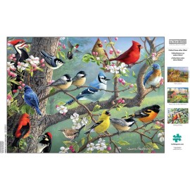 Buffalo Games - Hautman - Birds in an Orchard - 1000 Piece Jigsaw Puzzle For Adults -Challenging Puzzle Perfect for Game Nights - Finished Size is 26.75 x 19.75