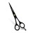Facn Professional Razor Edge Barber Hair Cutting Scissors - Japanese Stainless Steel - 6.5 Length - Fine Adjustment Tension Screw - Salon Quality Premium Shears (The Bravo)